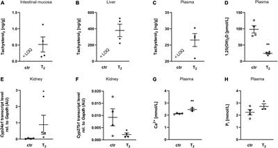 Tachysterol2 increases the synthesis of fibroblast growth factor 23 in bone cells